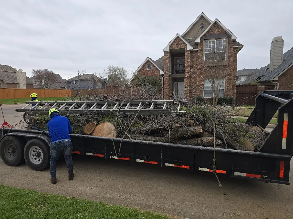 Expert Tree Fertilization with proper safety equipment in Yoakum